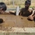 可笑！印度4男子在牛粪中洗澡 直呼能免受病毒感染增强免疫力
