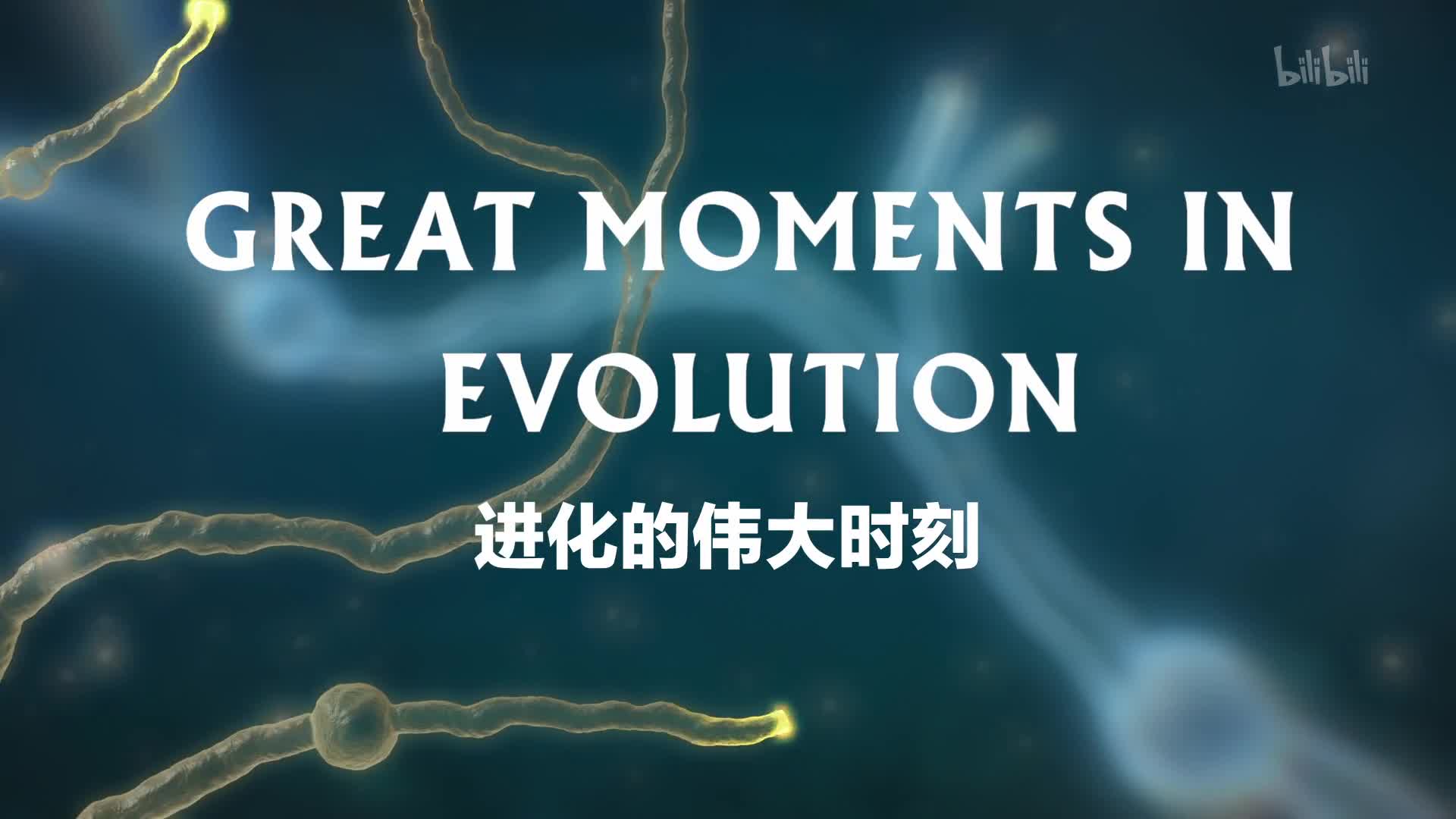 【纪录片】进化的伟大时刻-Great Moments in Evolution