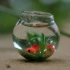【软陶系列37】教你做个微型软陶金鱼缸 (╭￣3￣)╭♡