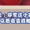 医生：你家这小狐狸🦊以后会变成雕的🦅哦 我寻思：狐狸咋可能变雕