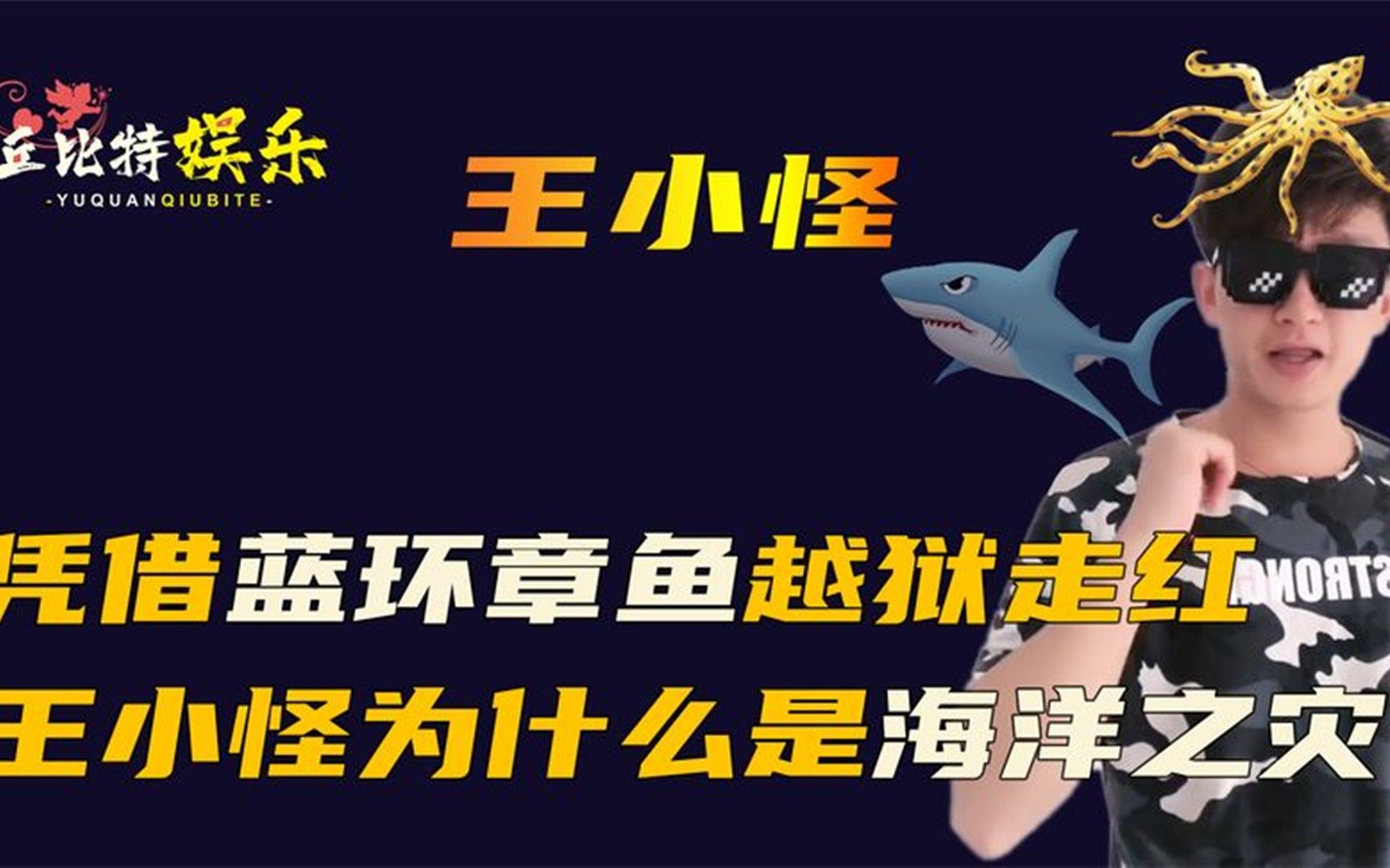 海洋之灾王小怪:半年就能送走15只章鱼却凭借蓝环章鱼爆红网络