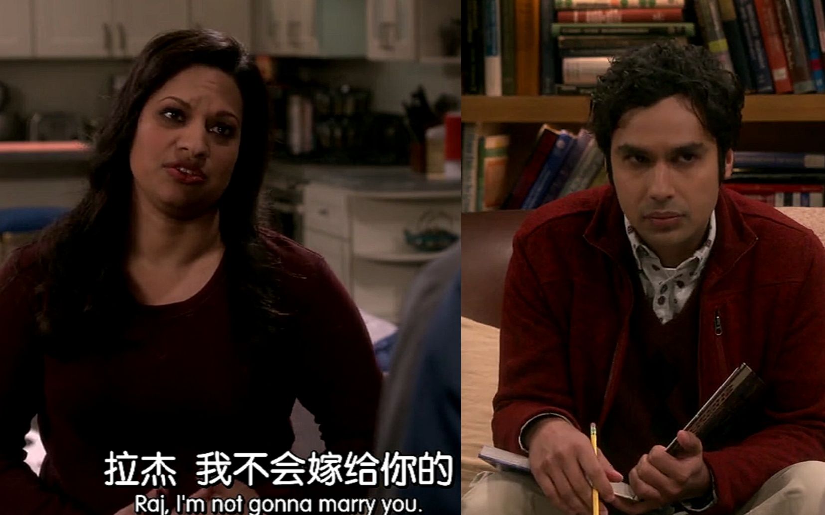 生活大爆炸s12e12拉杰最后的终身归宿也吹了可怜的拉杰