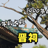 晋祠：三千年的树+千年的古建！太原最值得的国宝