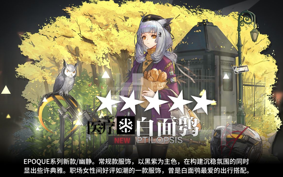 白面鸮幽静皮肤局内细致展示