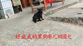 c8c42e59e47a7bdaee0a806f7eadd5d5d68e5865.jpg@280w_158h_1c_100q.jpg