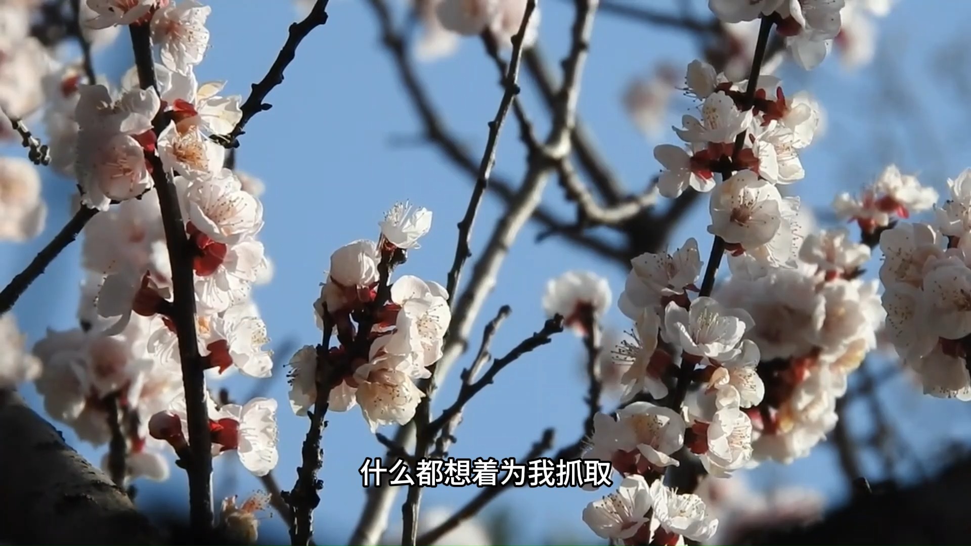 为什么大多数的人，永远处在人生的第一层境界呢？反者道之动，弱者道之用！