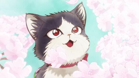 七猫免费小说甜蜜爱情 c8d61fb3015519515f23072c5d26ad6dbf0bb2a8.jpg@480w_270h_1c