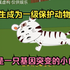 重生成为一级保护动物，还是一只基因突变的小白虎