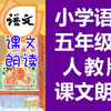 小学语文五年级语文下册 人教版 课文朗读 必背内容 2020新版 语文五年级下册5年级下册语文必背课文背诵（教资考试