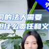 公司的法人需要承担什么责任和义务