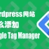 wordpress网站怎么加Google Tag Manager代码
