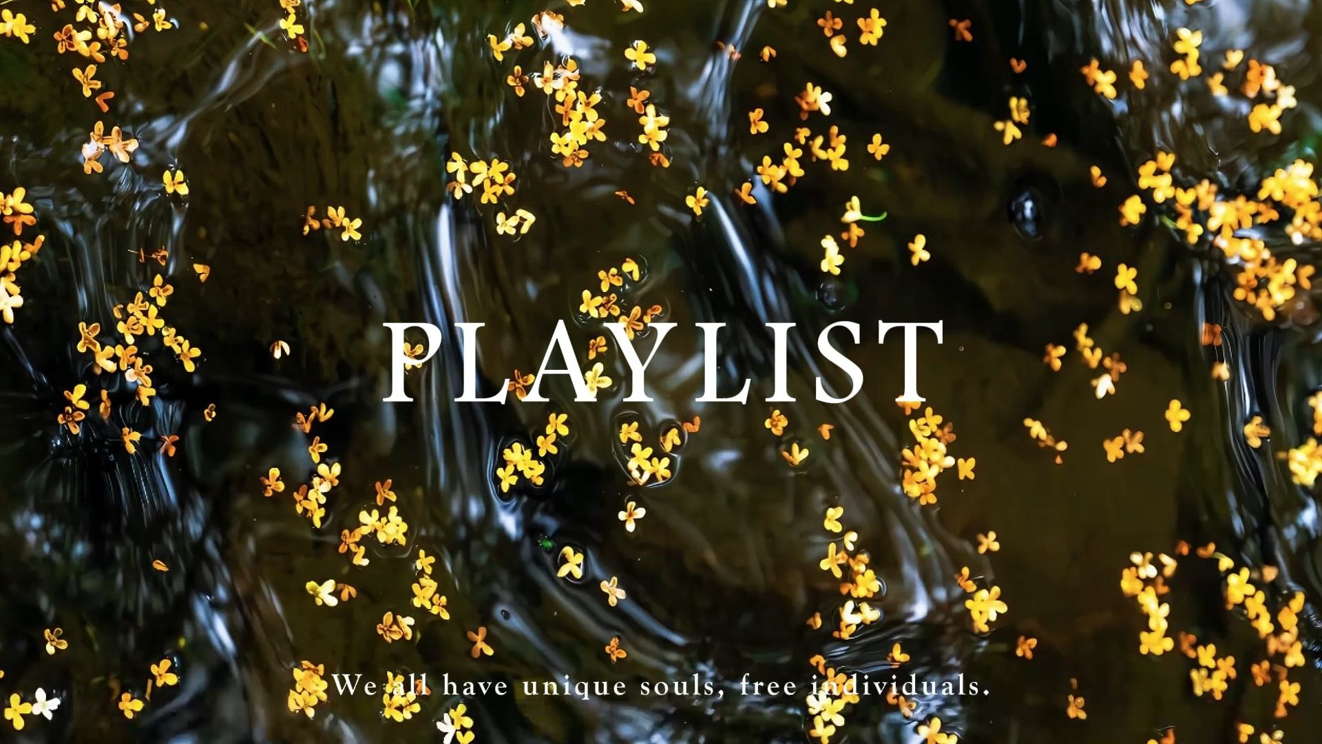 𝐏𝐥𝐚𝐲𝐥𝐢𝐬𝐭·纯音乐 | 人闲桂花落 夜静春山空 | 治愈钢琴曲 | 适合学习 工作 备考 宅家歌单