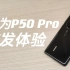 华为P50 Pro首发体验：计算光学碾压10倍光学变焦？