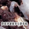 分手zz