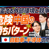 【中国已进入胜利模式】汽车、半导体行业环境与竞争力剧变／日本企业仍具潜力／需提升股价意识／应接轨全球标准【日语学习