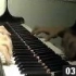 【钢琴】平安のエイリアン
