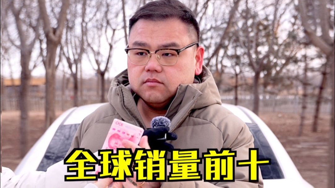 2025全球单一车型销冠是谁？