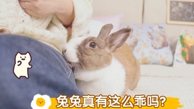 c97505c28d1c353d4d18dae4918bc4ea53ea5d3a.jpg@280w_158h_1c_100q.jpg