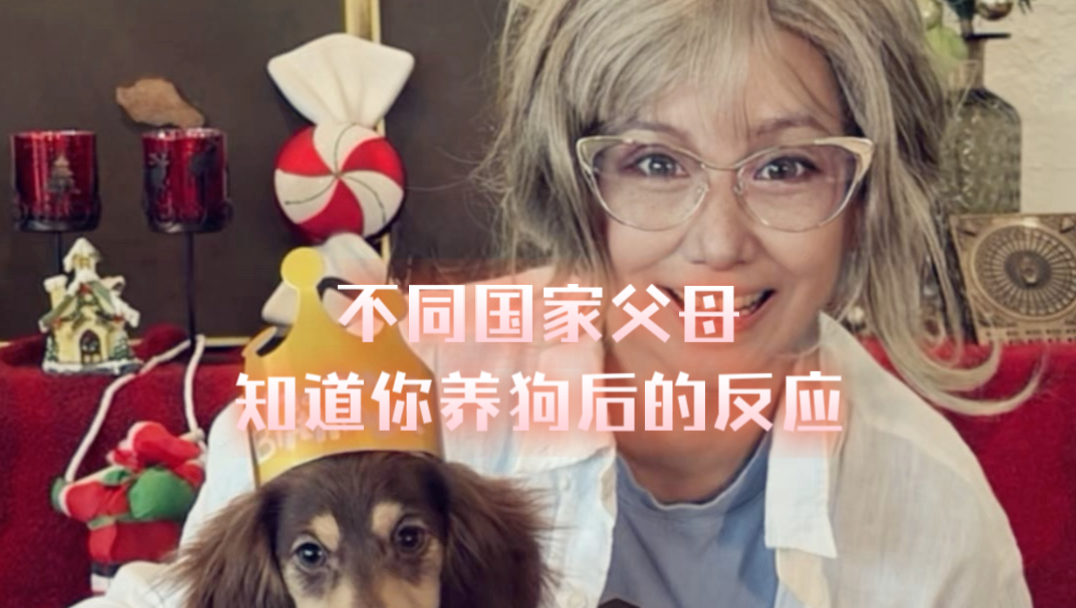 当你想养狗，不同国家爸妈都是啥反应？最后一个，来照镜子！