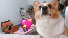 c97c7b339b01804cf6e8c54082f46ad60759c19f.jpg@280w_158h_1c_100q.jpg
