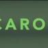 《卡罗尔》Carol 官方国际正式版2:23s预告片