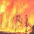 山火燃烧的澳洲 -- 澳大利亚森林大火惨烈视频集锦