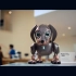 起亚EV6超级碗广告《Robo Dog》，很有创意的一个小故事