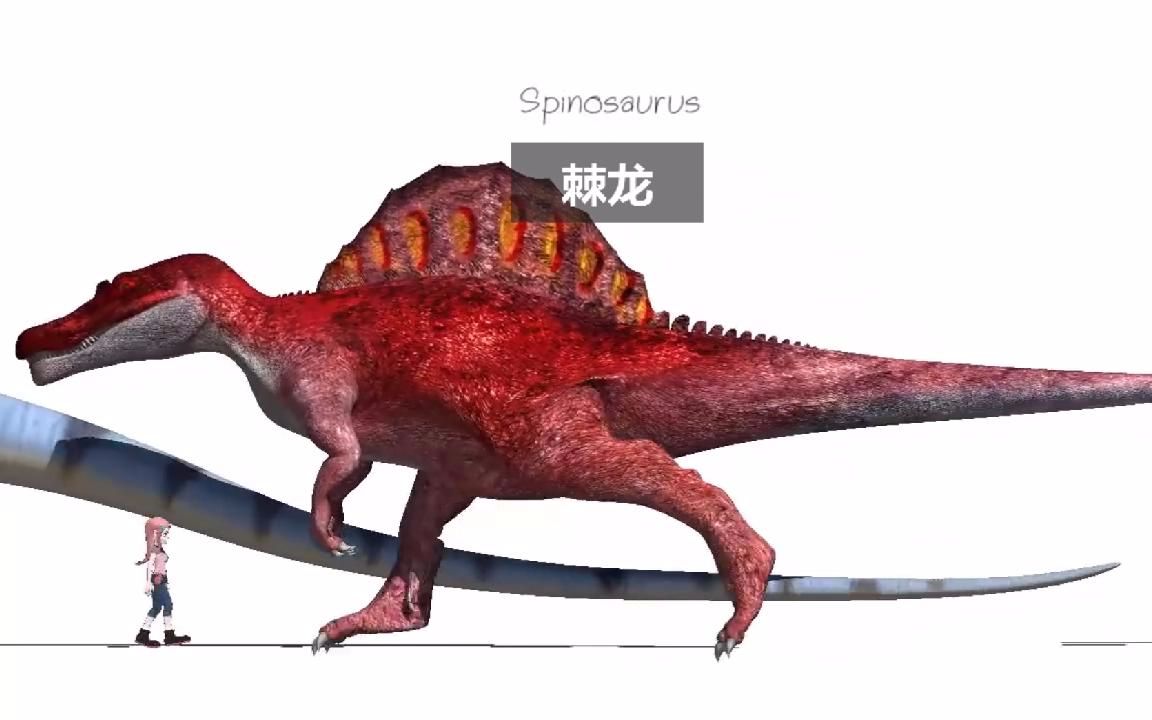恐龙大集合,与女孩对比直观认识它们的体型,中英对照字幕