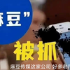 麻豆传媒映画被一锅端！女主个个貌美如花