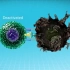 [英文字幕] 肿瘤的免疫疗法 3D动画演示 Immunotherapy: the path to a cancer cu
