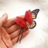 飞纸蝴蝶盒| 简单的磁性工艺