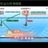 CTCS-3级列车运行控制系统（四电老陈）