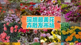 c9db755247043d2d475aebf483efd4c56b46a66f.jpg@280w_158h_1c_100q.jpg