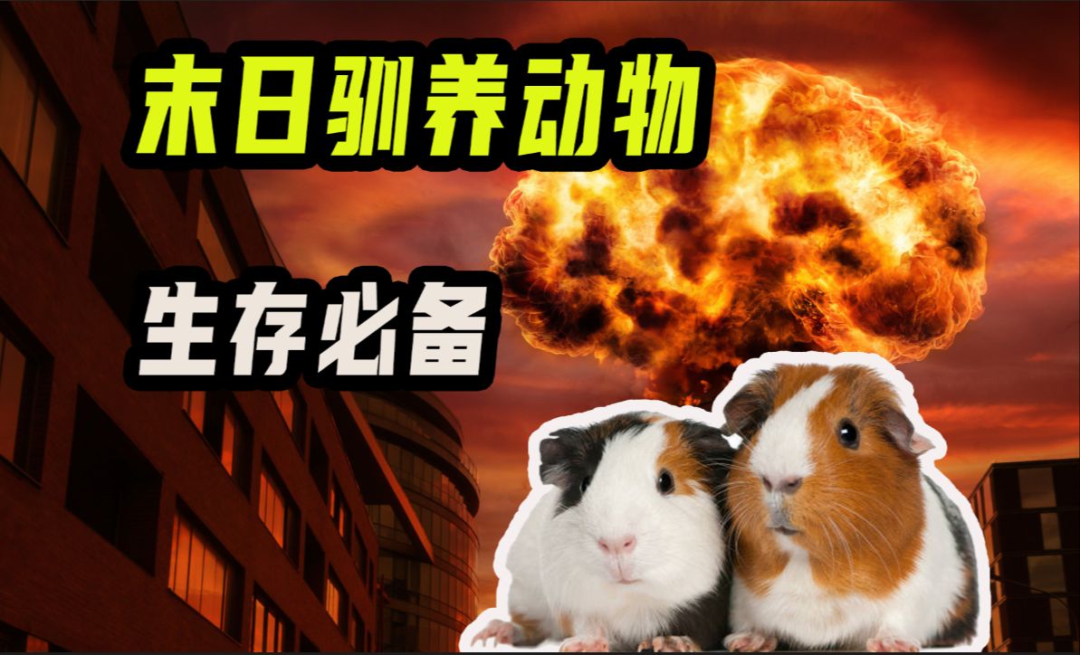 末日降临养什么动物能顿顿吃肉？