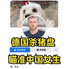 警惕！女生曝遇国外杀猪盘，疑黑人假扮白人高富帅，专骗中国女生