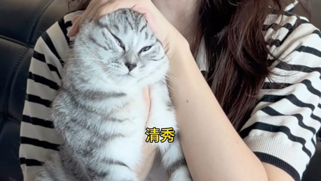 养猫人的自我攻略
