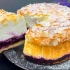 【搬运】蓝莓酸奶蛋糕 lecker mit Ann