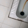 我艹，厕所吐了都堵了