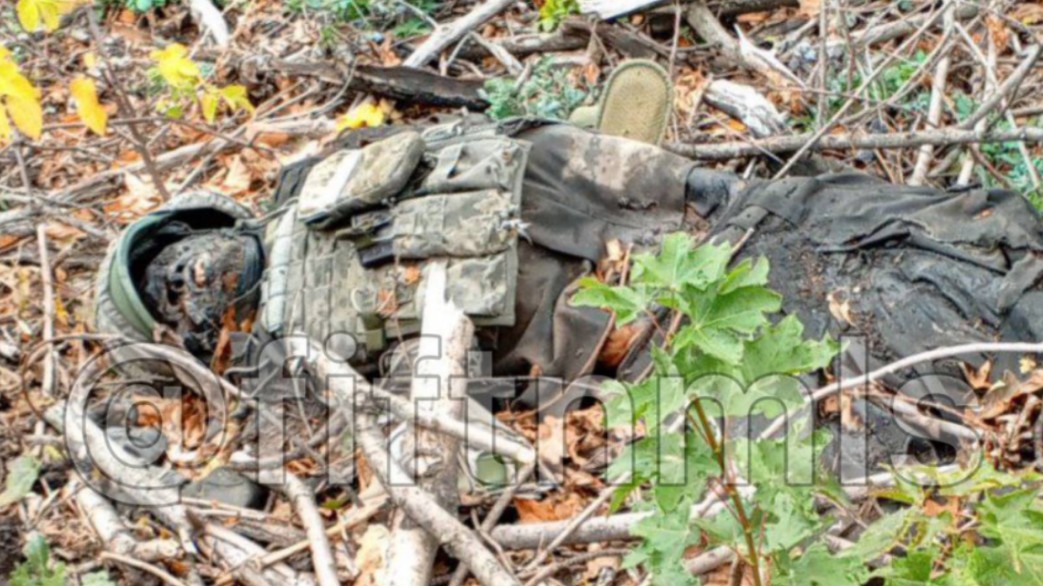 美军游骑兵标志惊现俄乌战场，俄军团灭乌军雇佣兵4人小队!俄乌残酷巷战堑壕战纪实，遍地乌军200号货物。俄军使用无人机投弹与自杀式无人机（FPV）猎杀乌军步兵集锦