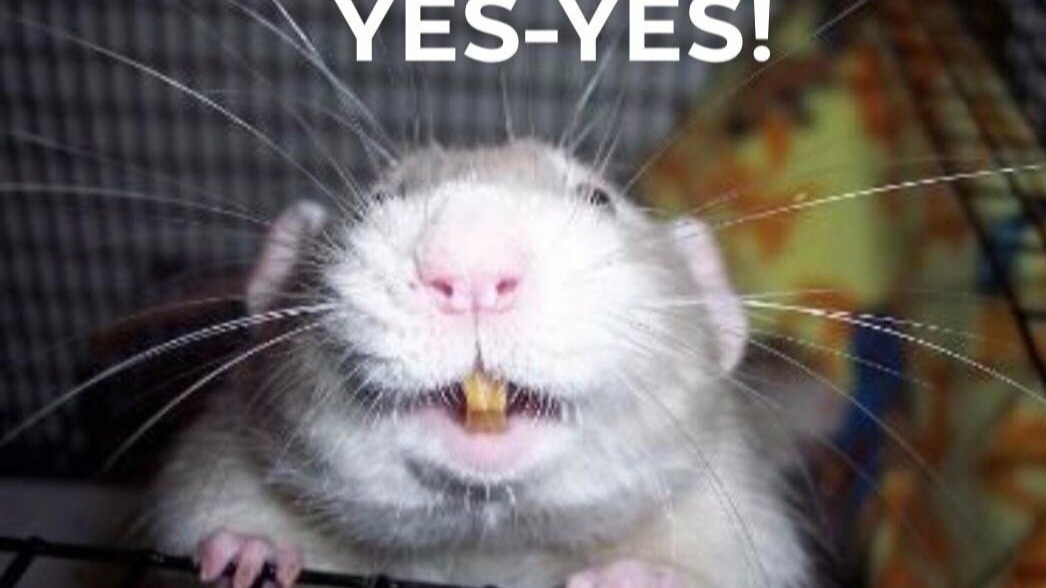 孩子都去哪了？&爸妈都去哪了？