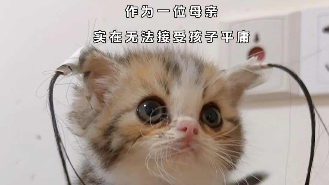 一位母亲实在无法接受孩子平庸～