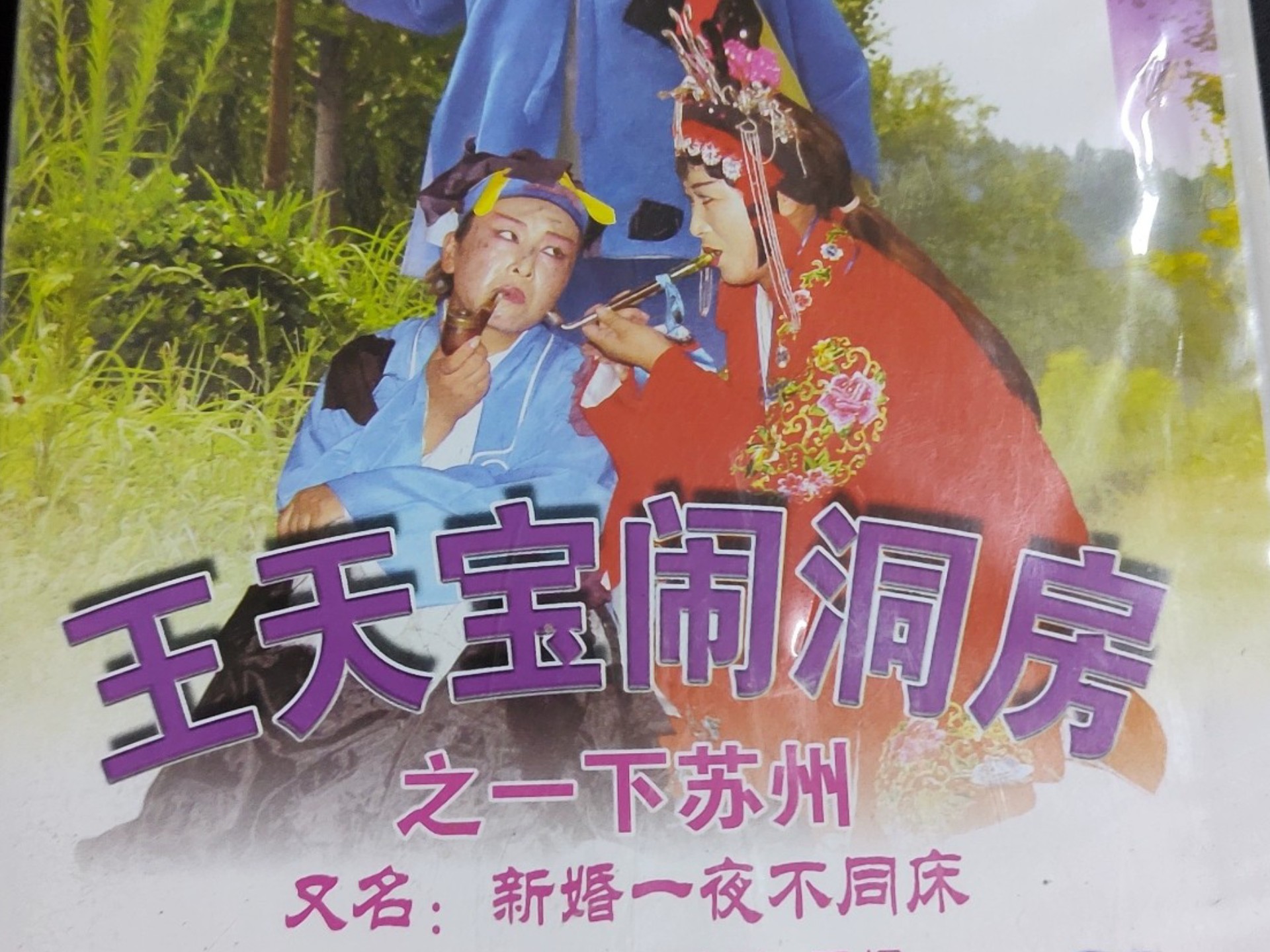 琴书《王天宝一下苏州》第二集 天宝招亲