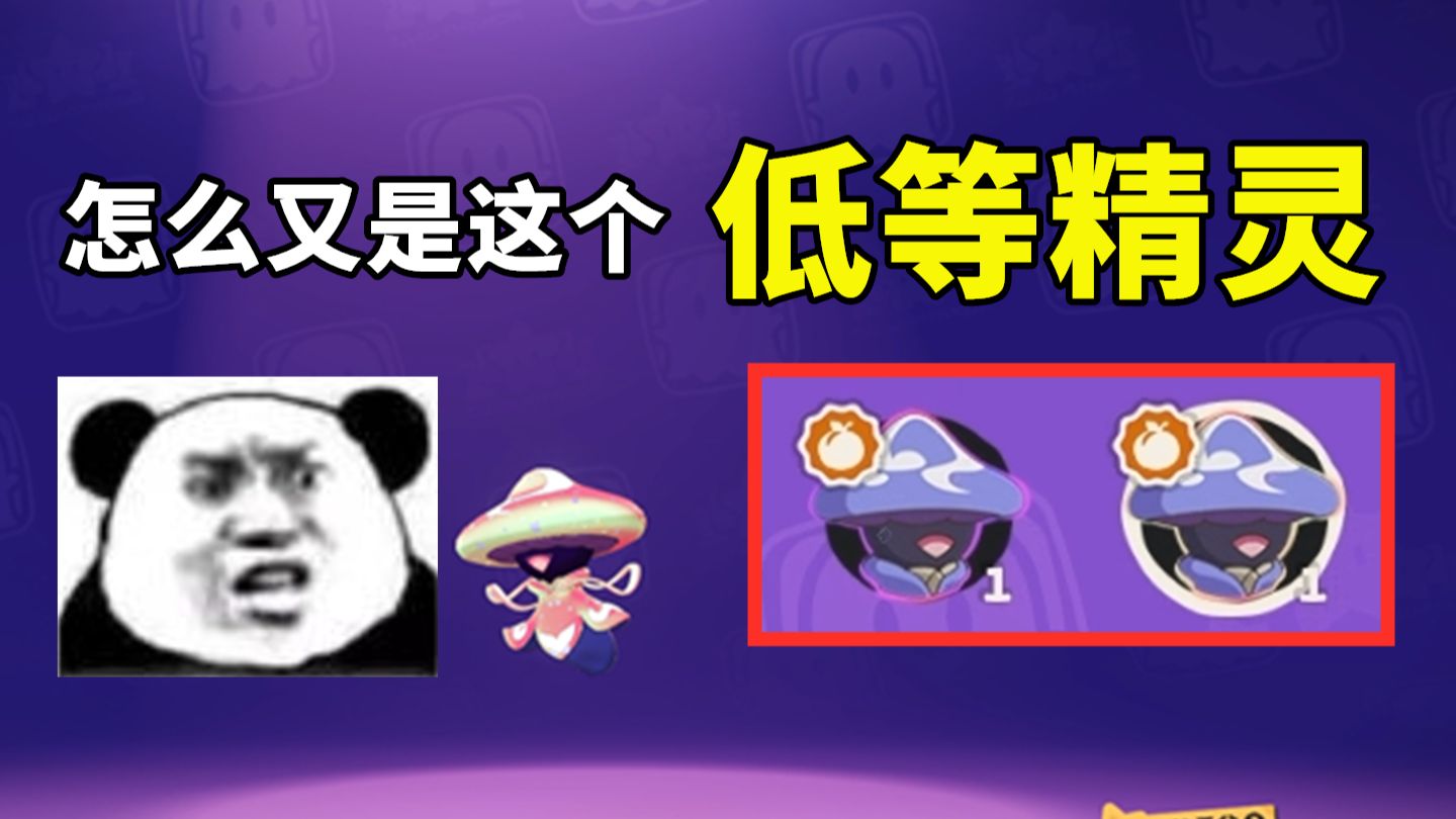 我整个炫彩蛋不容易啊，怎么孵出来2个一样的低等精灵