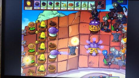 植物大战僵尸95版手机下载教程 ca4a6f570742178a03c219f70e6d619e7eaf27d8.jpg@480w_270h_1c