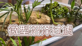 ca504c5cfaf6e2914a0fa6a3a1ef0e05aac72bc0.jpg@280w_158h_1c_100q.jpg
