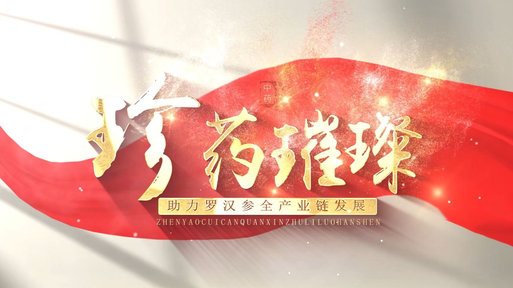 中国国际大学生创新创业大赛省金VCR