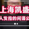 间谍公司