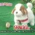 【原版】日本直販 愛犬ロボ「てつ」（转载系列4）