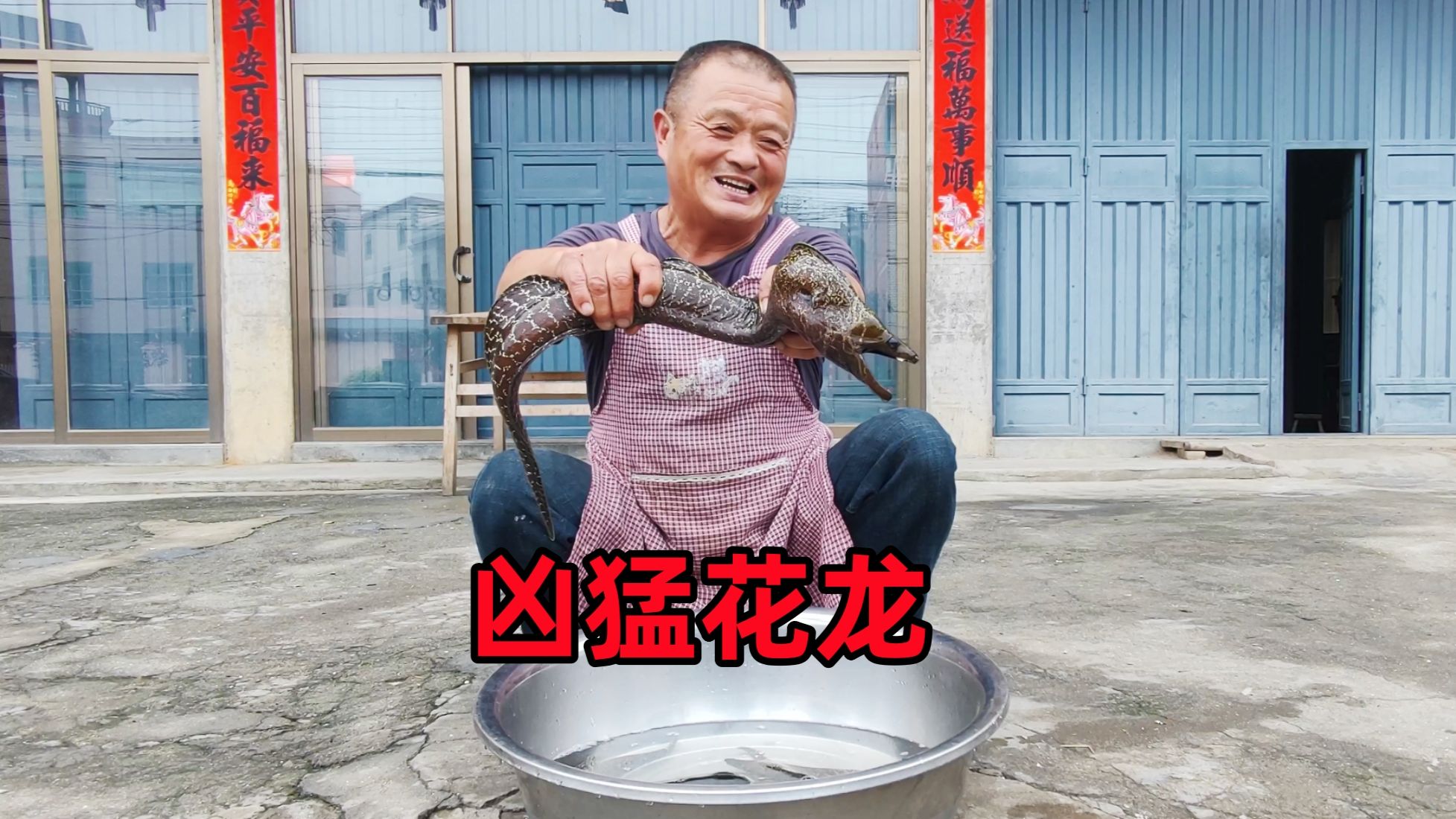 阿胖山买4条凶猛花龙做大餐，不料直接被咬进医院，差点咬断手指缝了10针