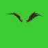 绿幕抠像挥舞的翅膀视频素材